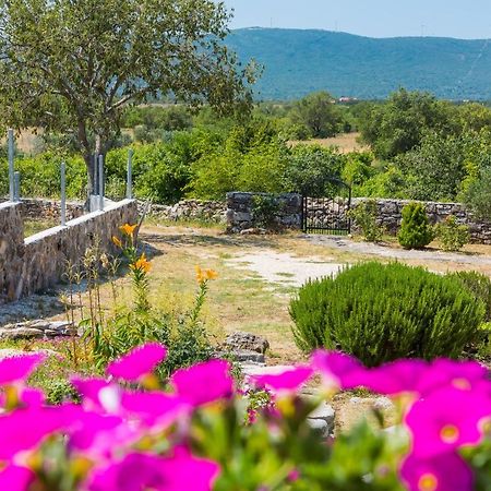 Holiday Home Vlatka Lozovac Exterior foto